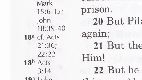 Bible Pages Macro Closeup Stop Motion Animation Stock Footage 129319000