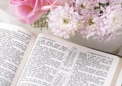 Bible Stock Photos
