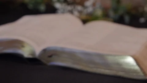 Bible rack focus Stock Footage 115731983