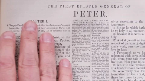 Bible Reading New Testament First Peter Stock-Footage 293607344
