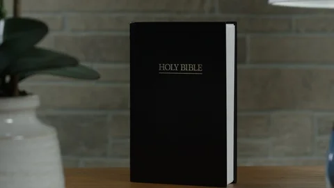 Bible stands alone Stockbeeldmateriaal 113941009