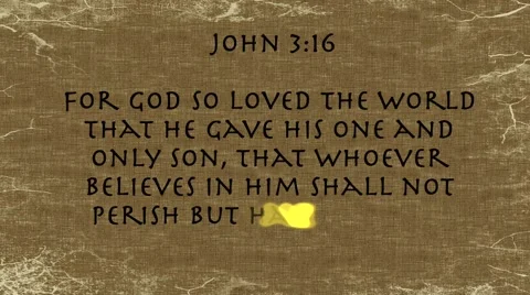 Bible Verse John 3:16 Stock Footage 49064772