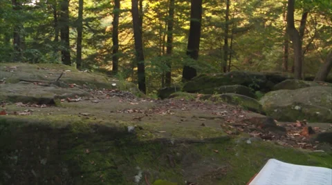 BiblePanLR Stock Footage 30560063