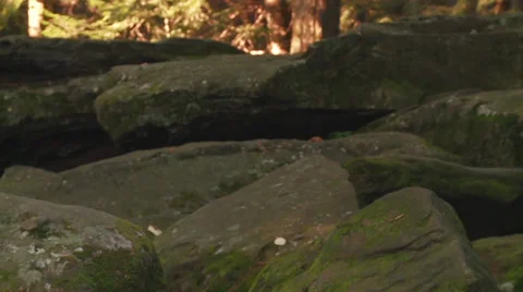 BiblePanLR02 Stock Footage 30560558