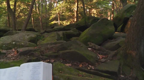 BiblePanRL Stock Footage 30560060