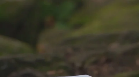 BibleTiltDown Stock Footage 30560549