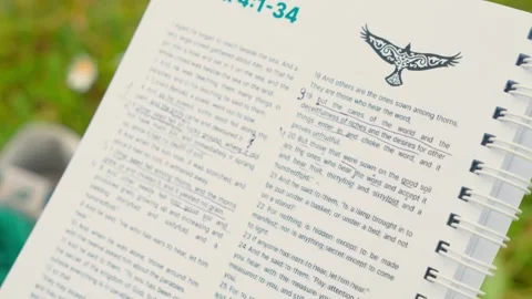 Biblical scripture Bible page revealing parable of sower from mark 4 Video stock 315563149