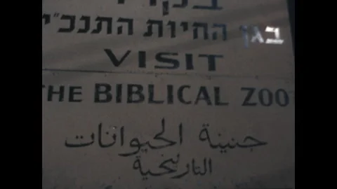 Biblical Zoo 1975 Stock Footage 274455317