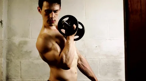 Bicep Curl Exercise Video stock 66546563