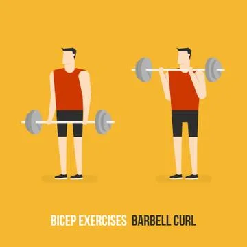Bicep Exercises. Barbell Curl. Stock Illustration