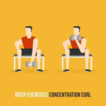Bicep Exercises. Concentration Curl. Stock-Illustration
