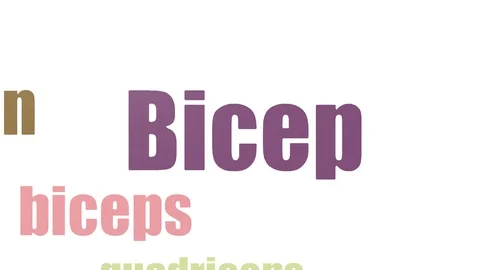 Bicep Wordcloud Animated Isolated On White Vídeos de archivo 99620437