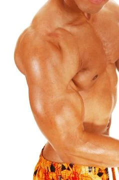 Biceps and chest. Stock Photos