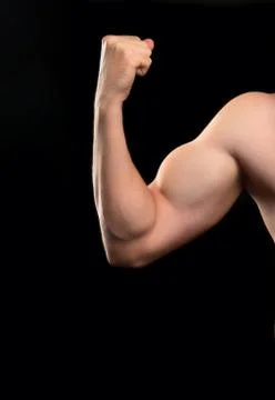 Biceps beginner bodybuilder Stock Photos