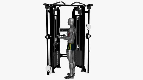 Biceps curl cable wide grip crossover machine fitness exercise workout animation Vidéo 243984937