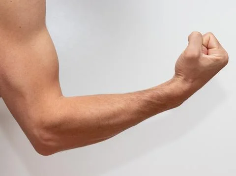 Biceps on white background. Concept of strength and muscle growth Stock-Fotos