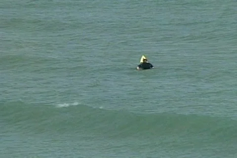 Bich 1 Stock Footage 300954