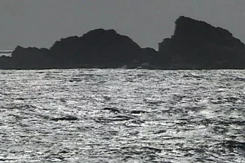 Bich 14 Stock Footage 300963