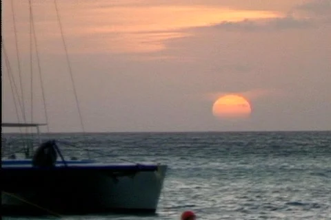 Bich 5 Video stock 300984