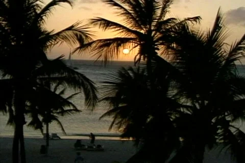 Bich 6 Stock Footage 301010