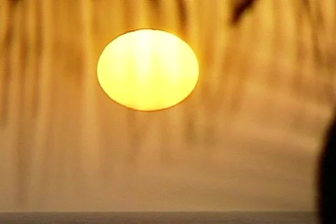 Bich 7 Stock Footage 301019