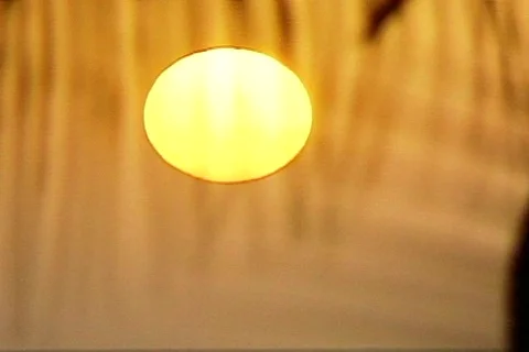 Bich 8 Stock Footage 301022