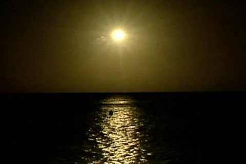 Bich 9 Stock Footage 301026