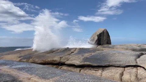 Bicheno blow hole 動画素材 303048813