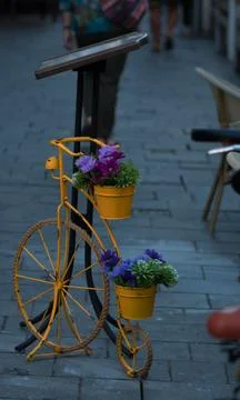 Bicicleta veche Stock Photos