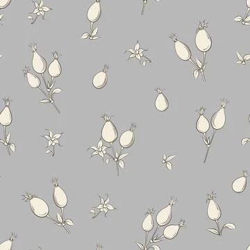 Bicolor rose floral pattern. Modern botanical design Stock Illustration