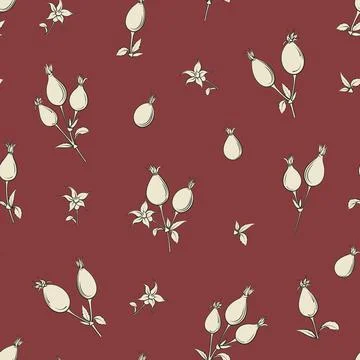 Bicolor rose floral pattern. Modern botanical design Stock Illustration