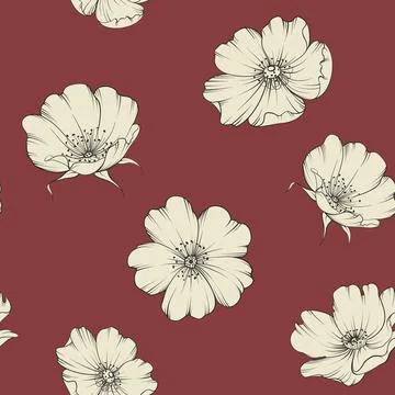 Bicolor rose floral pattern. Modern botanical design Stock Illustration