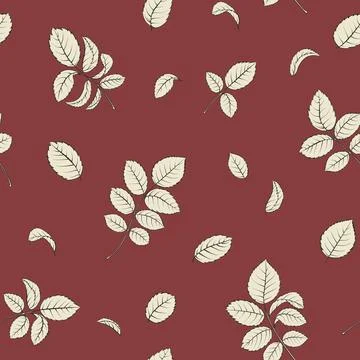 Bicolor rose floral pattern. Modern botanical design Stock Illustration