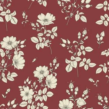 Bicolor rose floral pattern. Modern botanical design Stock Illustration