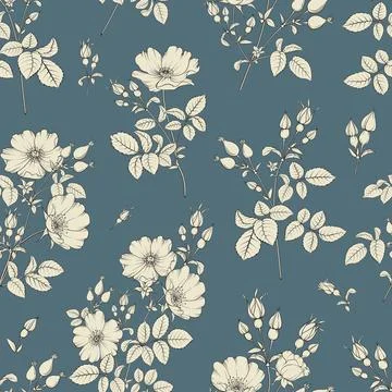 Bicolor rose floral pattern. Modern botanical design Illustrazione stock