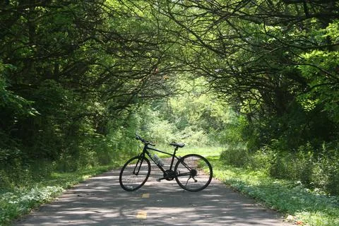 Bicycle Alone on a Pathway Фото