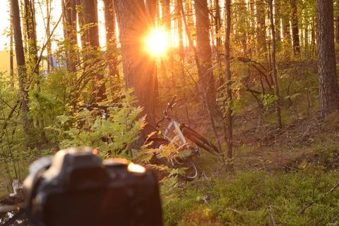 Bicycle and camera in the forest Foto stock