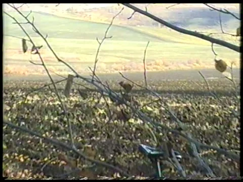 Bicycle and Mining Tower Seen through Tree Branches Vídeo Stock 348117359