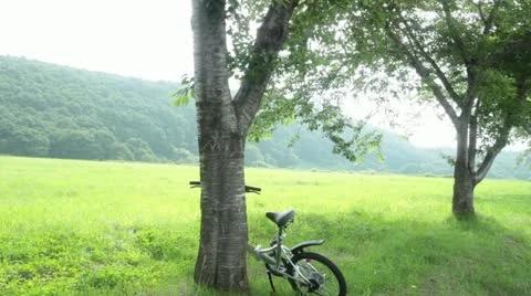 Bicycle and ranches Stock Footage 11631255