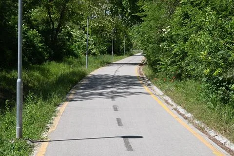 Bicycle and walking path in forest outdoors Fotos Stock