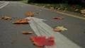 Bicycle arrow sign on the road. Autumn. Slider shot HD Footage
