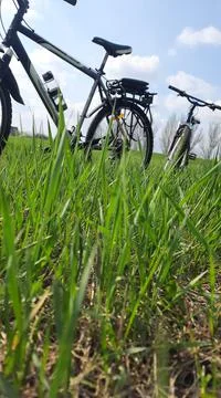Bicycle on a background of grass. Stock Photos