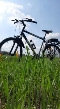 Bicycle on a background of grass. Stock Photos