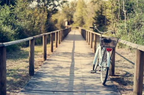 Bicycle with basket on the bicycle path. Foto stock