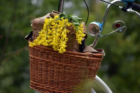 Bicycle basket Stock Photos
