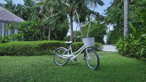Bicycle with a basket stands on the lawn Stock Footage 252849996