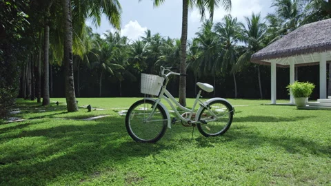 Bicycle with a basket stands on the lawn Stock Footage 252850030