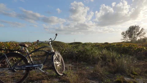 Bicycle by the Beach Stock Footage 149601709
