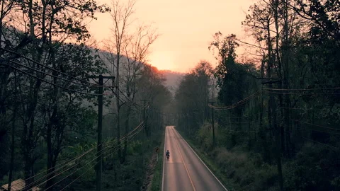 A bicycle on the beautiful road during sunset in the forest. Stock Footage 171787537
