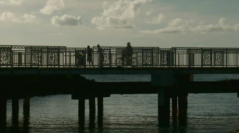 Bicycle bridge Stock Footage 315178